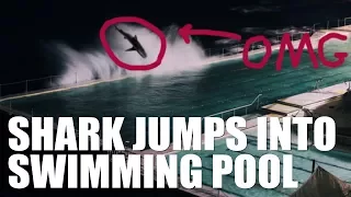 creepypasta shark in a swimming pool