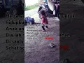 Download Lagu Tak perlu kau tau. Sengsaraku di jalan. Cukup kau tau senyumu saat ku pulang