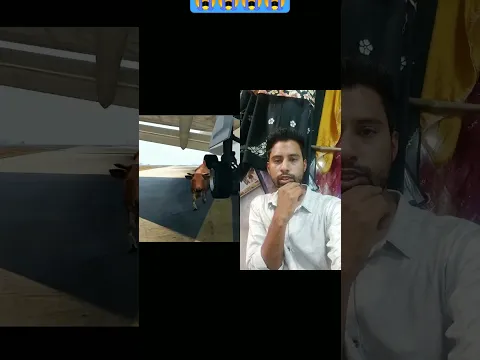 Cow Mata Ke Upar Se Chada Diya🤕😫🥶 Accident Virul😫🥶
