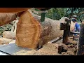 Download Lagu DI HARGAI PULUHAN JUTA‼️Kayu Jati Super-Di Gergaji Mesin Bandsaw Rakitan