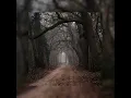 Halloween Song - Peter Sun (sped up) (with lyrics)