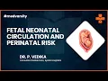 Download Lagu Fetal - Neonatal Circulation and Perinatal Risk | @MedvarsityTechnologiesPvtLtd