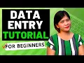 DATA ENTRY TUTORIAL FOR BEGINNERS - ONLINE DATA ENTRY JOB 1ST PART