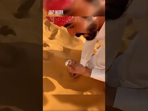 Fish Inside Sand😱🐟 മണലിനുള്ളിലെ മത്സ്യം!! #shorts