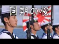 Download Lagu Japanese March: 同期の桜 - Fellow Cherry Blossoms