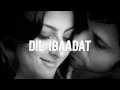 Dil Ibaadat Lofi Flip 🥀 (Slowed + Reverb)