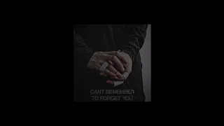 Shakira Rihanna Can T Remember To Forget You Sped Up Nightcore 