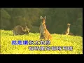 基隆山之戀~郭金發~男E調~伴奏~導唱~金嗓甲