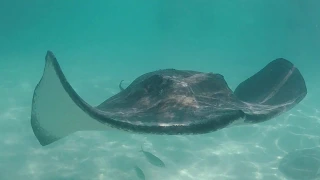 We are out there! Sailing Ocean Fox