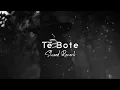 Te Bote (Slowed Reverb) Casper & Darell Ozuna