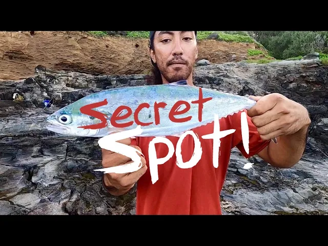 Download MP3 Back To Our Secret Fishing Spot! Drone Fishing | Hawaii Fishing | Big Island Hawaii Fishing 2020