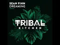Dreaming - Sean Finn