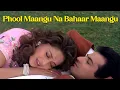 Download Lagu Phool Maangu Na Bahaar Maangu Song - Sanjay Kapoor \u0026 Madhuri Dixit | Raja फूल मांगू ना बहार मांगू