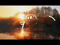 Olivia Dean - Touching Toes (Lyrics)