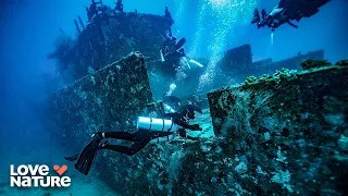 Hollywood's Underwater Movie Set | Reef Wrecks 103