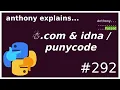 com and punycode idna beginner - intermediate anthony explains