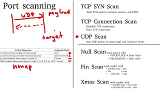 SYN Scan Connection Scan UDP Scan Null Scan Fin Scan Xmas Scan