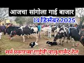 Lagu आजचा सांगोला गाई बाजार 14 डिसेंबर, गाईंच्या किंमती वाढल्या Sangola cow market in Maharashtra 