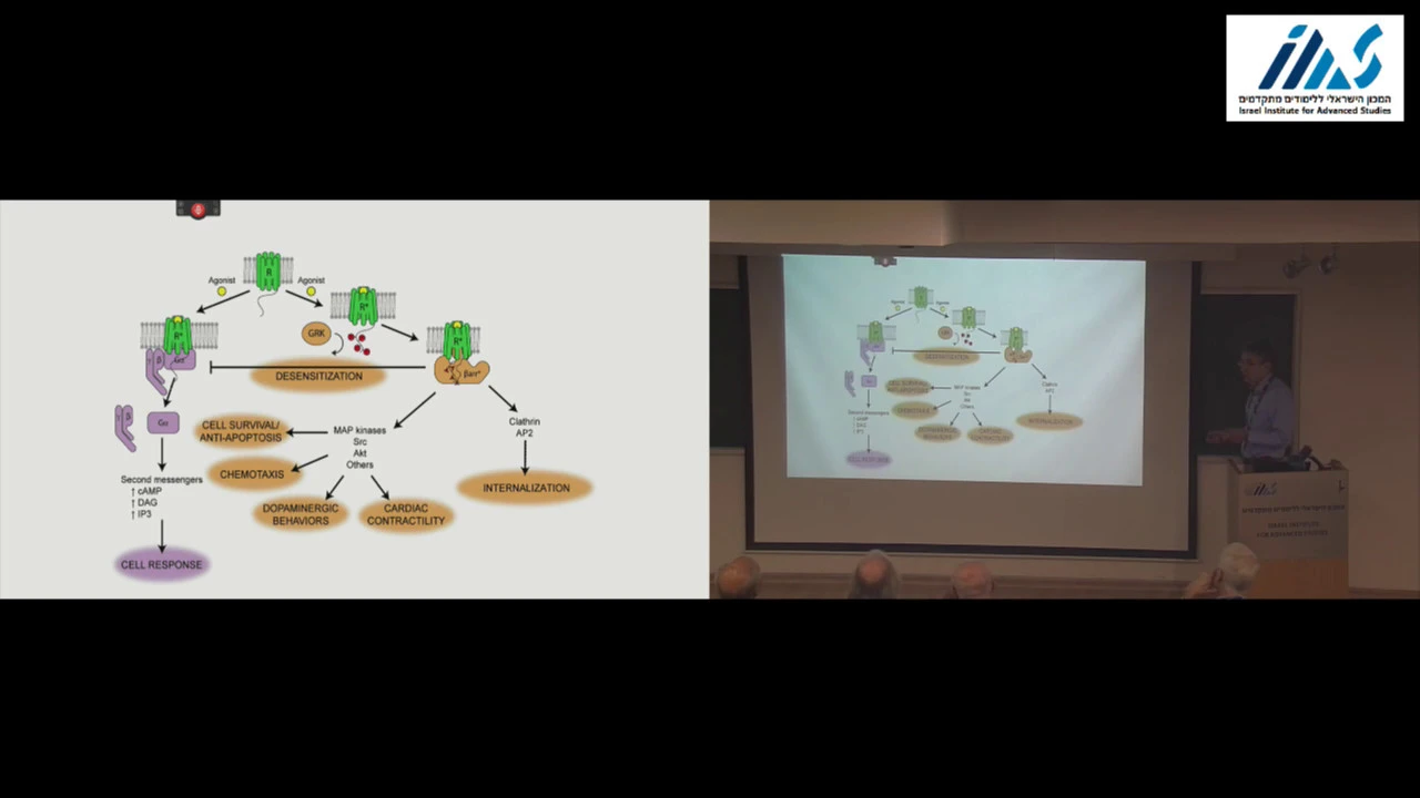 Robert Lefkowitz - Seven Transmembrane Receptor