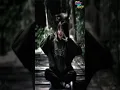 Download Lagu Story WA 30detik | Dj Dengarkanlah di Sepanjang Malam Aku Berdoa viral Tiktok #youtubeshorts