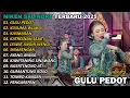 Download Lagu GULU PEDOT 🎵 | NIKEN SALINDRY | FULL ALBUM TERBARU VERSI CAMPURSARI VIRAL🎵  TRENDING 2025/2024