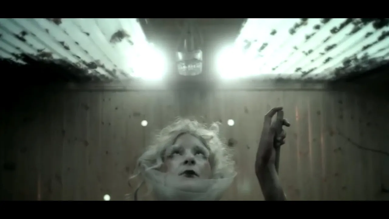 iamamiwhoami; o