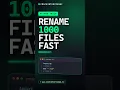 Python Batch Renamer