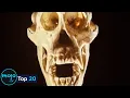 Download Lagu Top 20 Most Controversial Discoveries In History