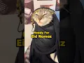 Me Before Eid Series #islam #cats #funny #viral #shorts #shortsfeed #trending