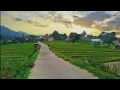 Download Lagu Kehidupan Kampung Di Kawasan Gunung Dan Hutan ❗ Alam Pedesaan Jawa Barat Indonesia