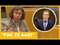 Lagu Marjolein Faber (PVV) haalt hard uit naar Justitie en VVD - “Zet het leger in!”