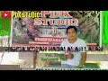 Download Lagu Nanga Koyan Nadai Alah Laban (Tinus) || PDK STUDIO