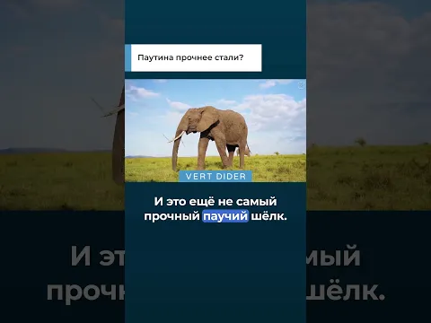 Паутина прочнее стали?