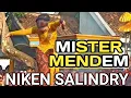 Download Lagu MISTER MENDEM COVER NIKEN SALINDRY