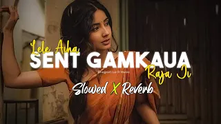 Download Lele Aiha Sent Gamkaua Raja Ji - Slowed and Reverb MP3