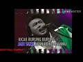 Download Lagu Rhoma Irama_PRIMADONA DESA _KARAOKE