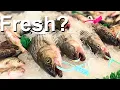 I Tried the Oldest Fish Market in America