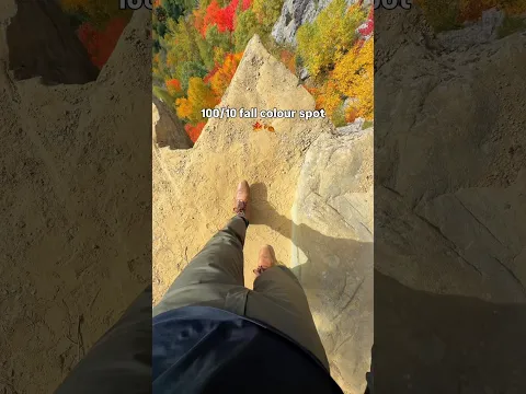 Fall colours in Ontario 🇨🇦