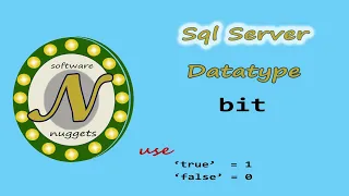 SQL Server L11 How to use the BIT data type aka Boolean True or False
