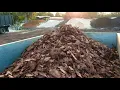 Why Size matters How to select the right size pine bark for your landscape