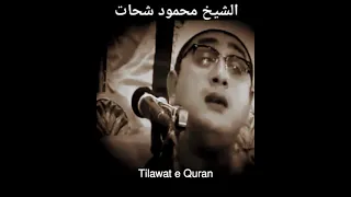 Qaro Sheikh Mahmood Shahat Muhammad Anwar Sweet Voice Old Memories Amazing Recitation 