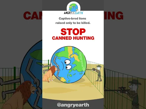 STOP Canned Hunting #WorldLionDay - August 10