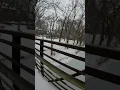 Sleet and Snow in Silver Spring Maryland