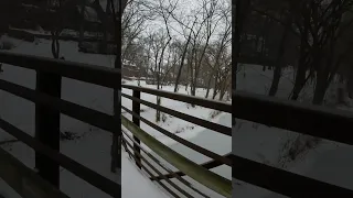 Sleet and Snow in Silver Spring Maryland