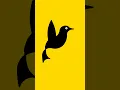 Bird in python turtle graphic Letscreatenew