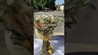 قولو لأمو تفرح وتتهنى Roses Passion 