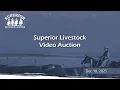 Lagu Superior Livestock Auction - 12/18/2025