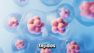 🔥 La inflamación se trabaja desde el terreno