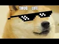 Download Lagu Best Thug Life Compilation Part 74