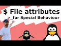 Linux File attributes for Special Behaviour